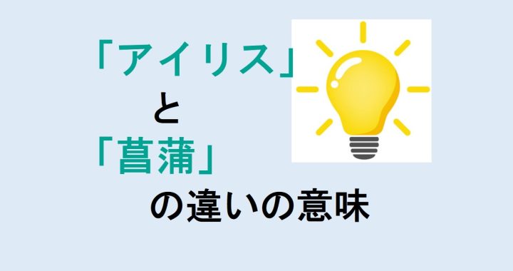 アイリスと菖蒲の違いの意味を分かりやすく解説！