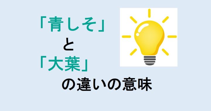 青しそと大葉の違いの意味を分かりやすく解説！