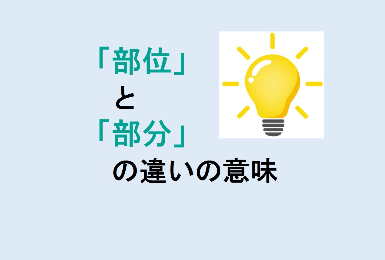 部位と部分の違い