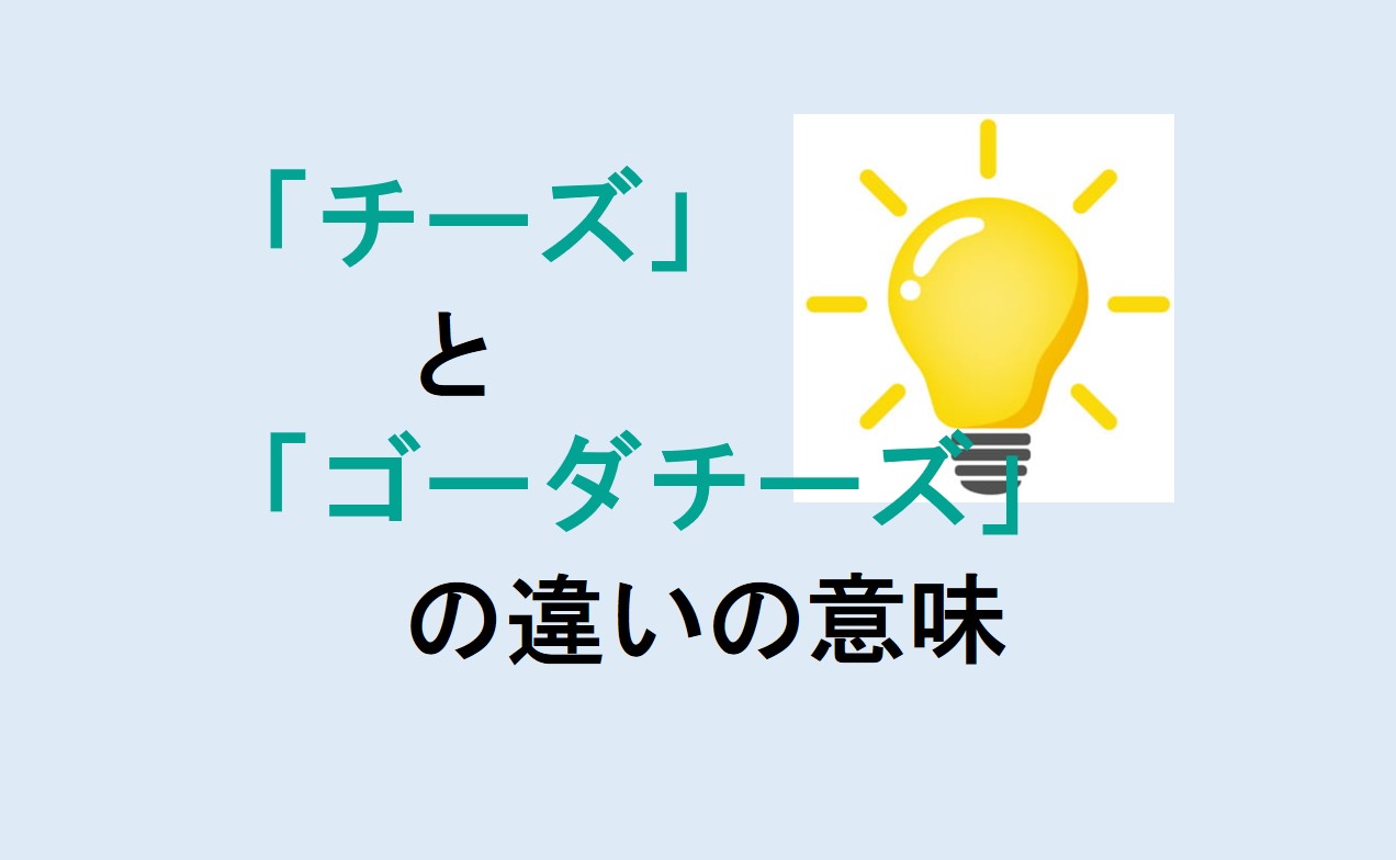 チーズとゴーダチーズの違い