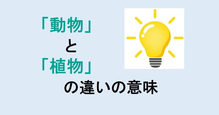 動物と植物の違いの意味を分かりやすく解説！