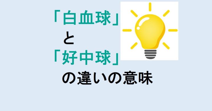 白血球と好中球の違いの意味を分かりやすく解説！