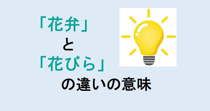 花弁と花びらの違いの意味を分かりやすく解説！