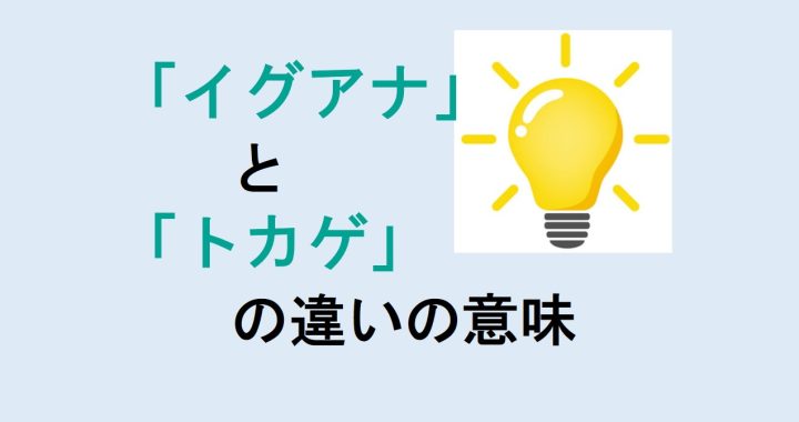 イグアナとトカゲの違いの意味を分かりやすく解説！