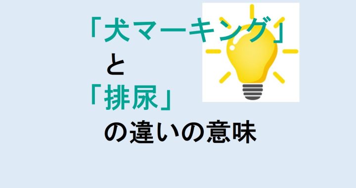 犬マーキングと排尿の違いの意味を分かりやすく解説！