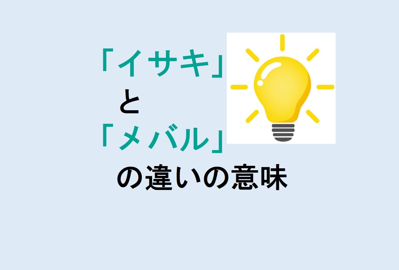 イサキとメバルの違い