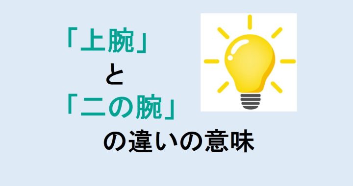 上腕と二の腕の違いの意味を分かりやすく解説！