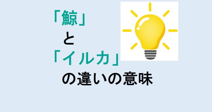 鯨とイルカの違いの意味を分かりやすく解説！