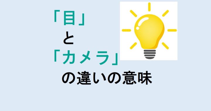 目とカメラの違いの意味を分かりやすく解説！