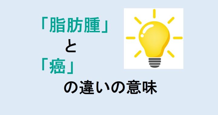 脂肪腫と癌の違いの意味を分かりやすく解説！