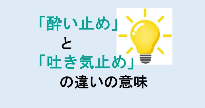 酔い止めと吐き気止めの違いの意味を分かりやすく解説！