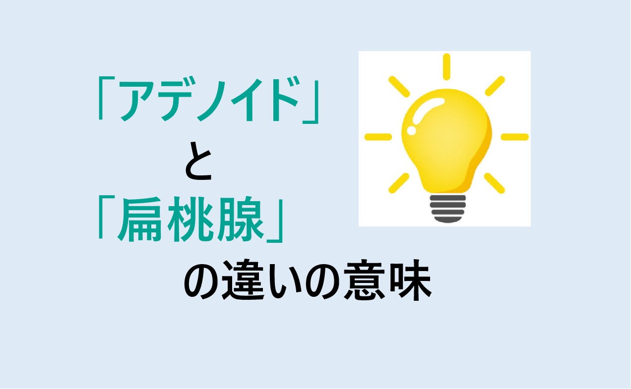 アデノイドと扁桃腺の違い