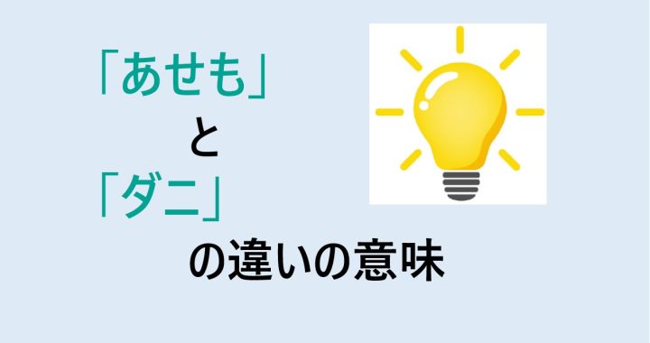 あせもとダニの違いの意味を分かりやすく解説！