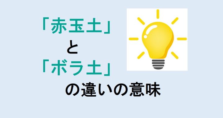 赤玉土とボラ土の違いの意味を分かりやすく解説！