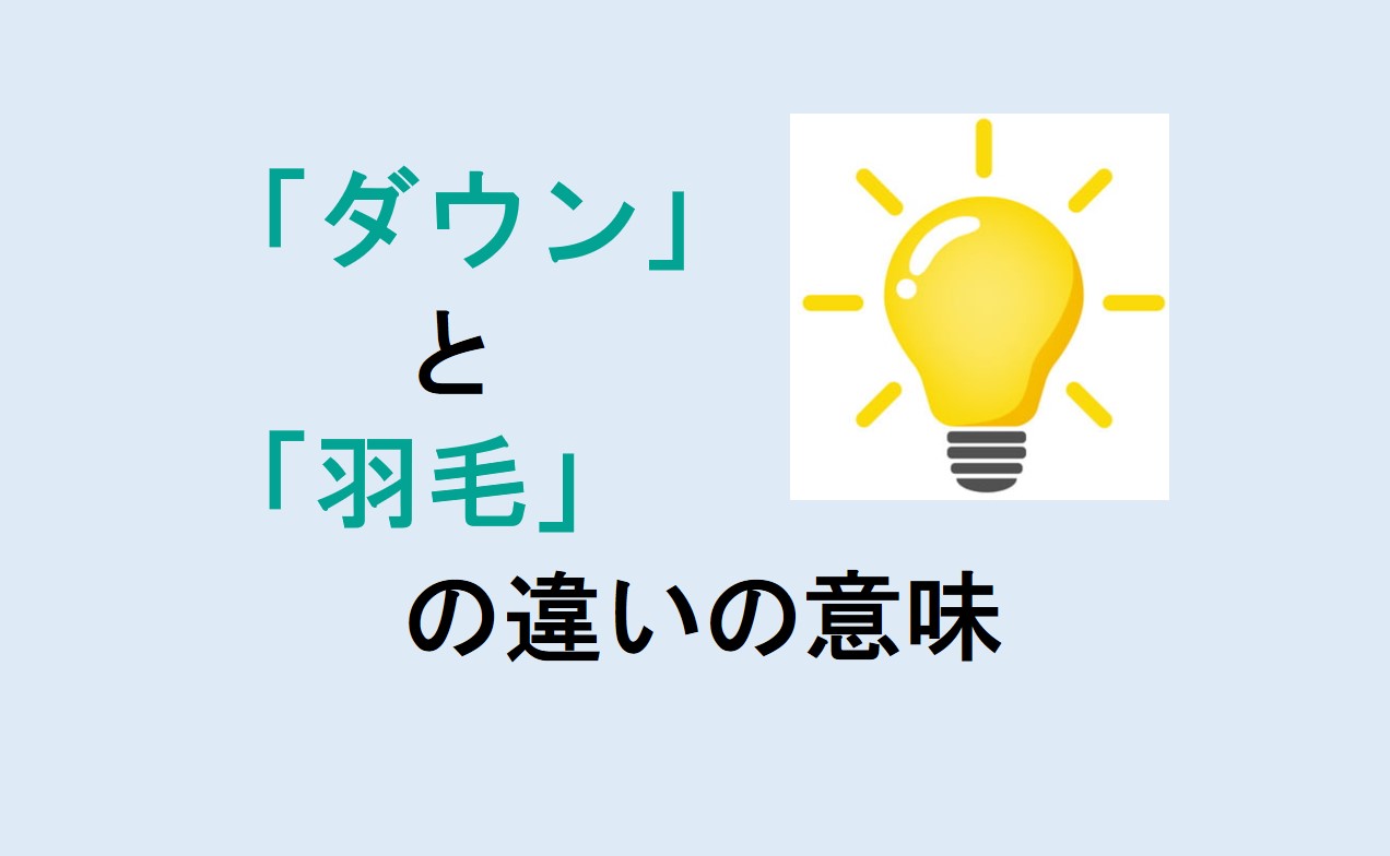 ダウンと羽毛の違いの意味を分かりやすく解説！