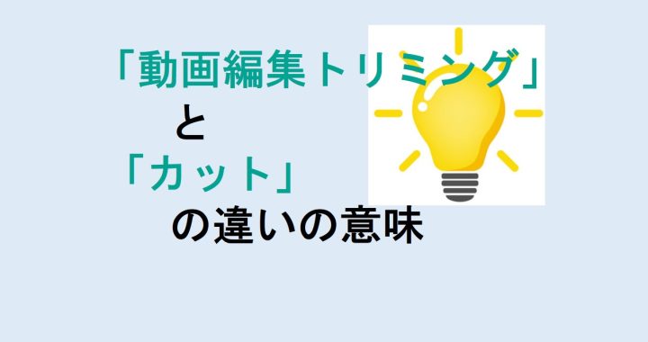 動画編集トリミングとカットの違いの意味を分かりやすく解説！