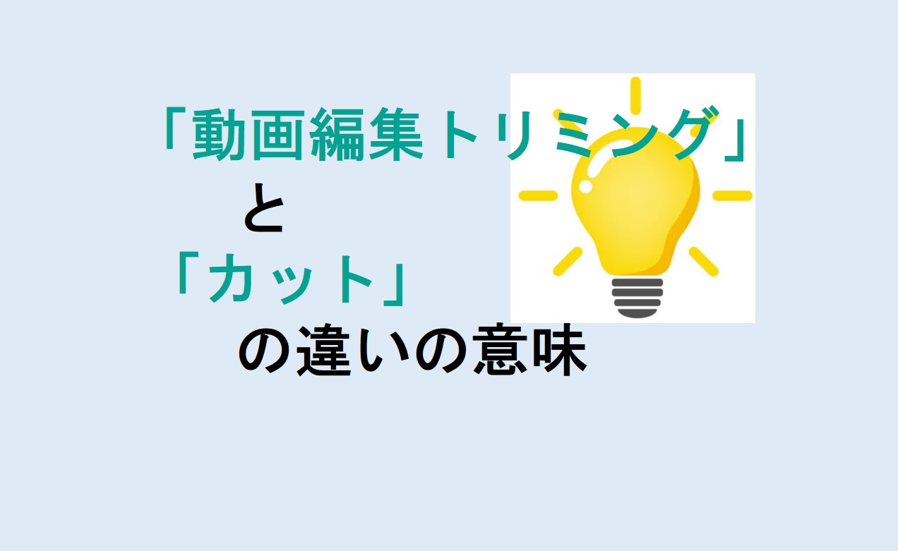 動画編集トリミングとカットの違い