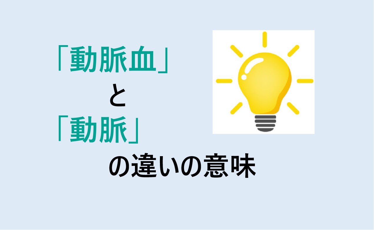 動脈血と動脈の違いの意味を分かりやすく解説！