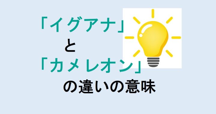 イグアナとカメレオンの違いの意味を分かりやすく解説！