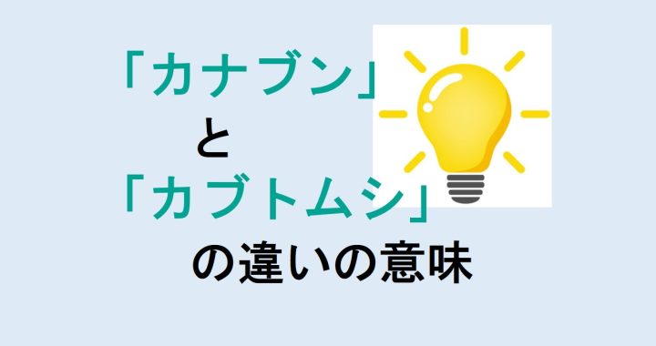 カナブンとカブトムシの違いの意味を分かりやすく解説！