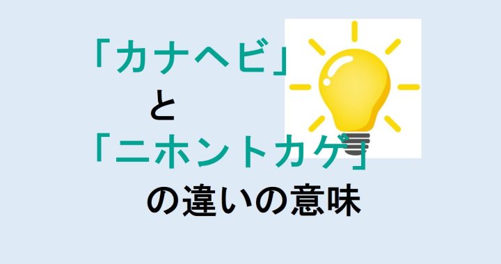 カナヘビとニホントカゲの違いの意味を分かりやすく解説！