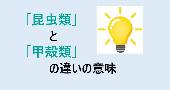 昆虫類と甲殻類の違いの意味を分かりやすく解説！