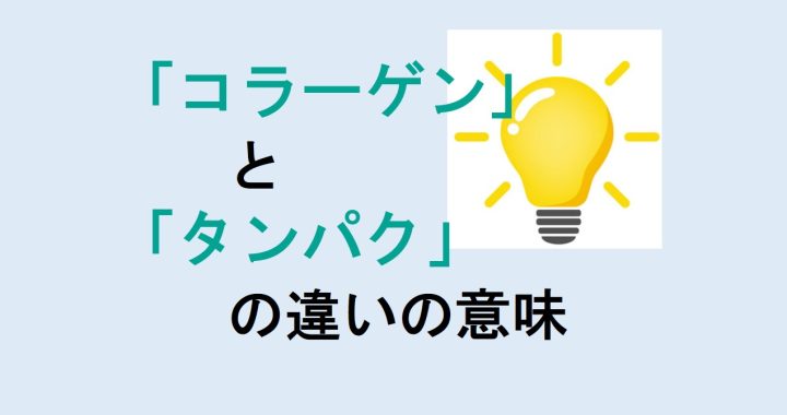 コラーゲンとタンパク質の違いの意味を分かりやすく解説！