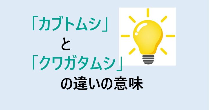 カブトムシとクワガタムシの違いの意味を分かりやすく解説！