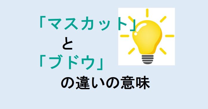 マスカットとブドウの違いの意味を分かりやすく解説！