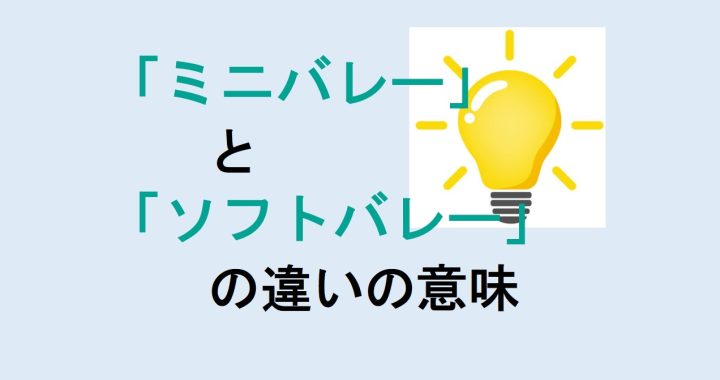 ミニバレーとソフトバレーの違いの意味を分かりやすく解説！