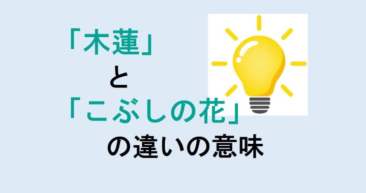 木蓮とこぶしの花の違いの意味を分かりやすく解説！