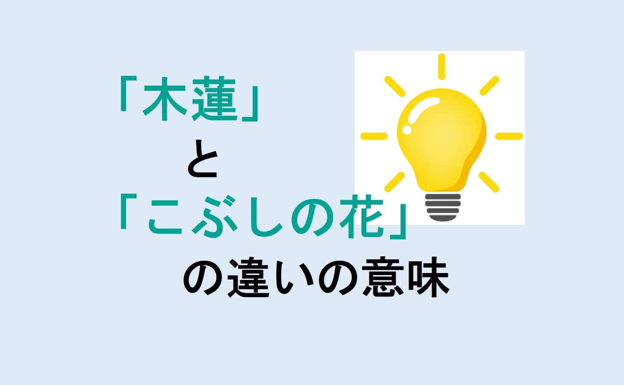 木蓮とこぶしの花の違い