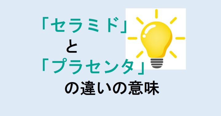 セラミドとプラセンタの違いの意味を分かりやすく解説！