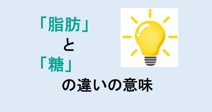 脂肪と糖の違いの意味を分かりやすく解説！