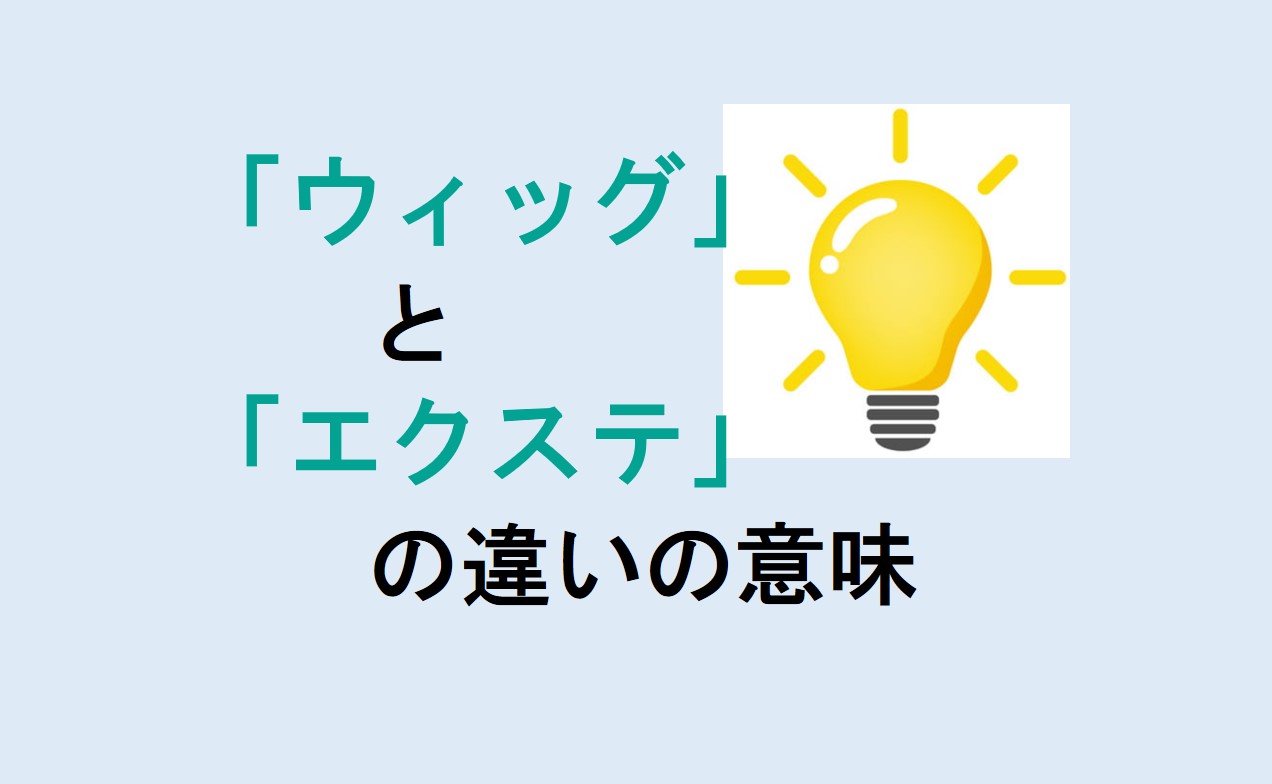 ウィッグとエクステの違いの意味を分かりやすく解説！