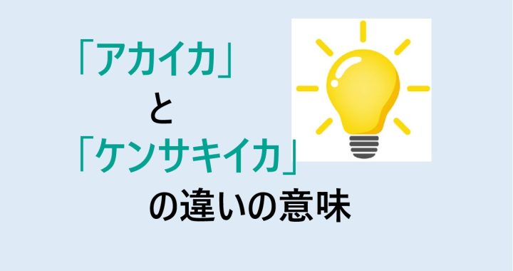 アカイカとケンサキイカの違いの意味を分かりやすく解説！