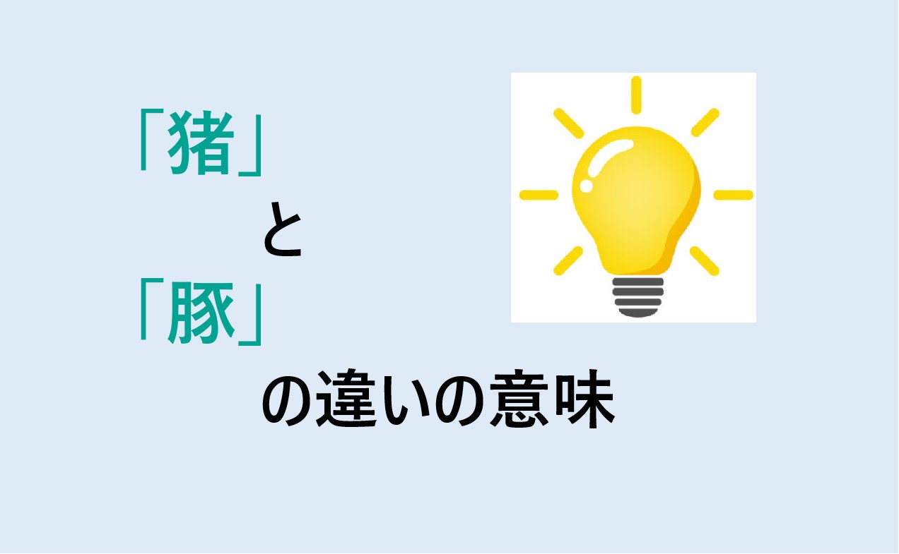 猪と豚の違いの意味を分かりやすく解説！