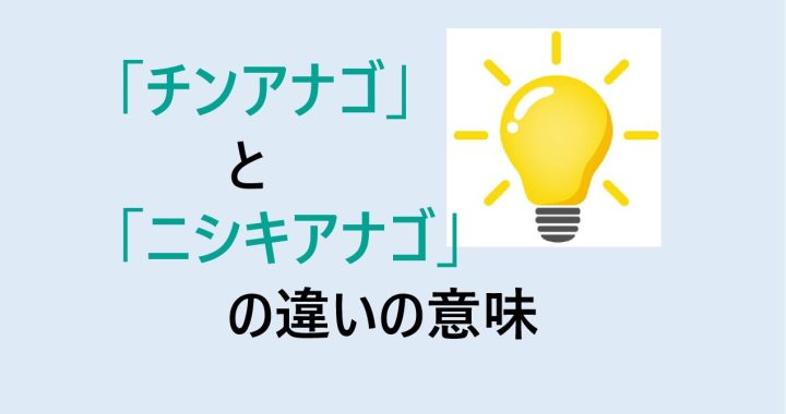 チンアナゴとニシキアナゴの違いの意味を分かりやすく解説！