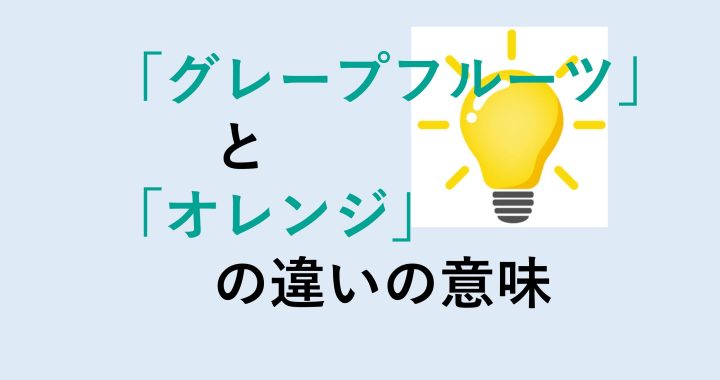 グレープフルーツとオレンジの違いの意味を分かりやすく解説！