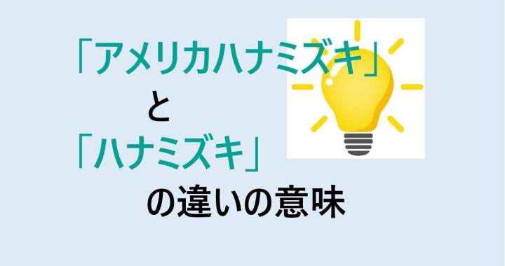 アメリカハナミズキとハナミズキの違いの意味を分かりやすく解説！