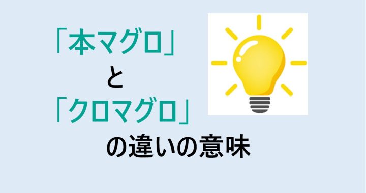 本マグロとクロマグロの違いの意味を分かりやすく解説！