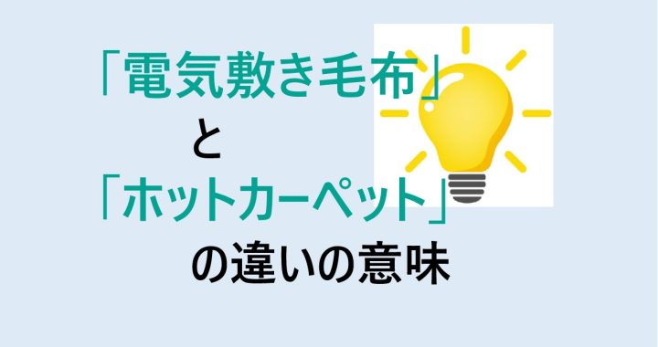 電気敷き毛布とホットカーペットの違いの意味を分かりやすく解説！