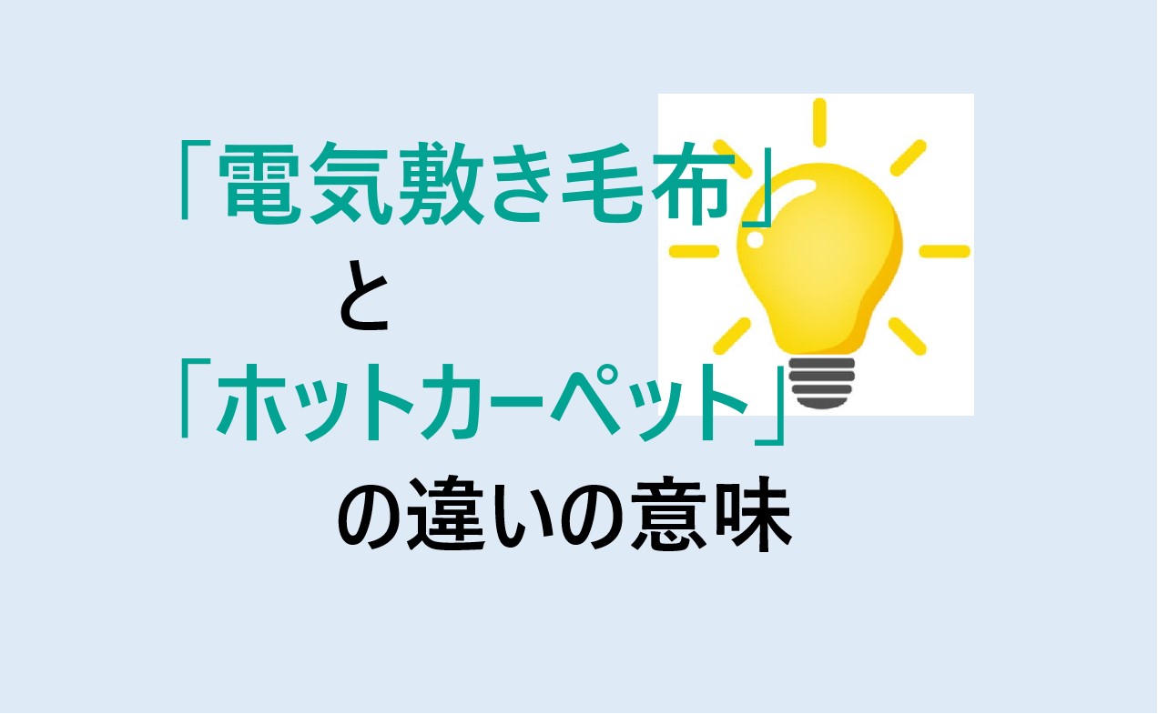 電気敷き毛布とホットカーペットの違い