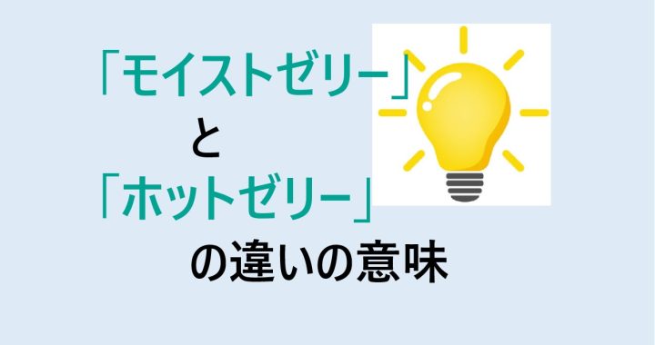 モイストゼリーとホットゼリーの違いの意味を分かりやすく解説！