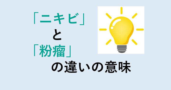 ニキビと粉瘤の違いの意味を分かりやすく解説！