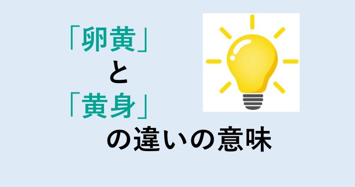 卵黄と黄身の違いの意味を分かりやすく解説！