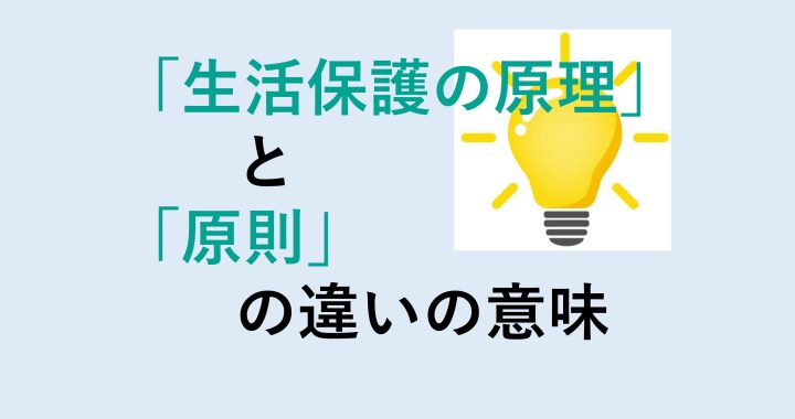 生活保護の原理と原則の違いを分かりやすく解説！