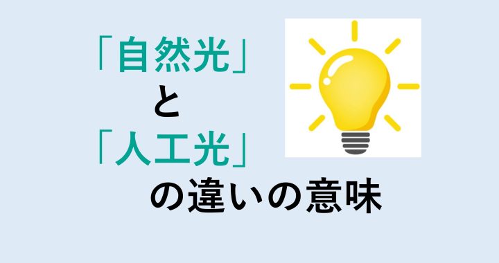 自然光と人工光の違いの意味を分かりやすく解説！