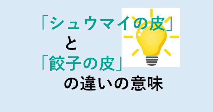 シュウマイの皮と餃子の皮の違いの意味を分かりやすく解説！