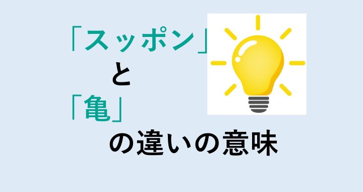 スッポンと亀の違いの意味を分かりやすく解説！